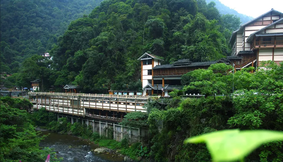 4c551fa5f5177a861f9d8b5dfb17cdfc-sz_1009236