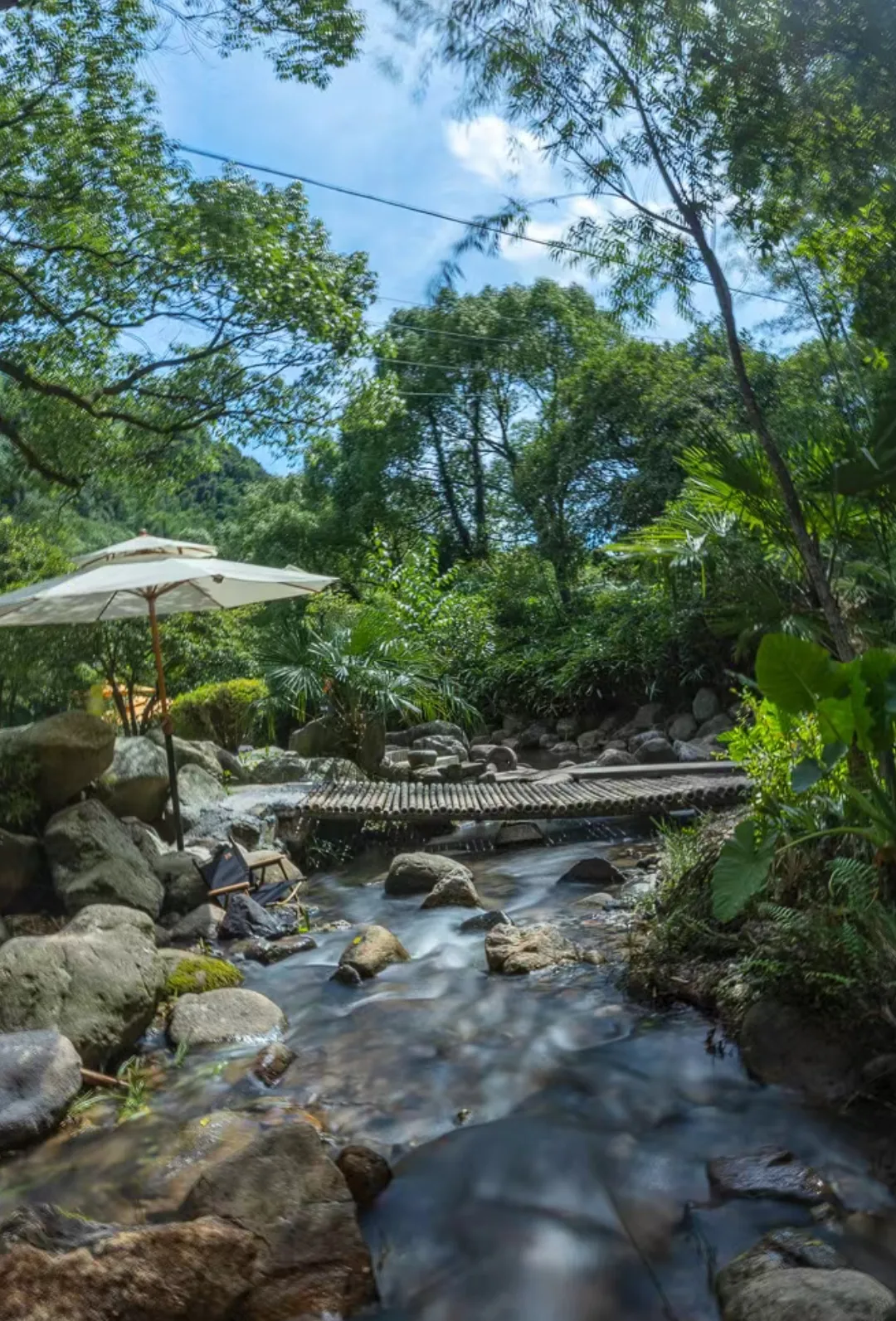 4c6f99e03387c543213d53a418cd301b-sz_1233968