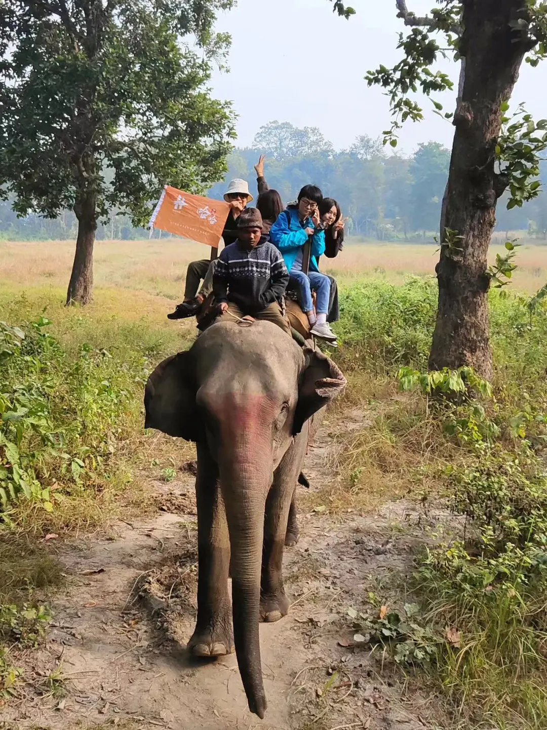 4c90f988234d2ced0551a53ba63c2e3e-sz_526938 4c90f988234d2ced0551a53ba63c2e3e-sz_526938