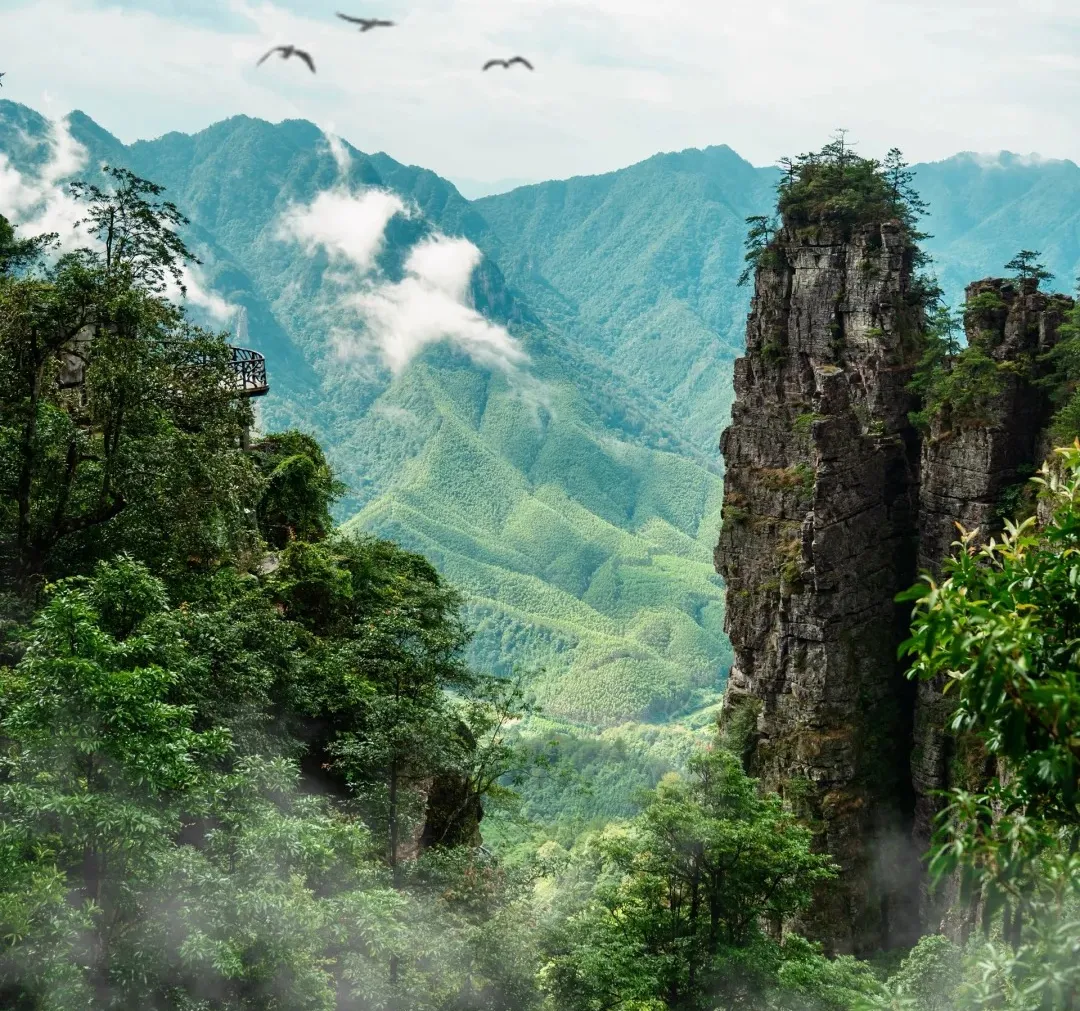 4cae0763de8a4b743bf2037920f8852d-sz_541000