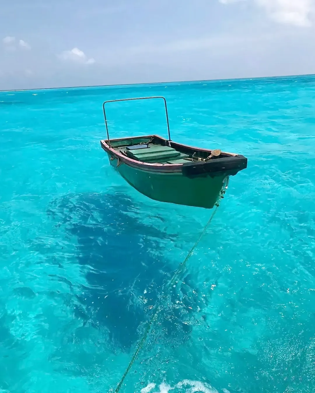 4cffe58c4cd78f09cfd696f6b1ec1cad-sz_1040343