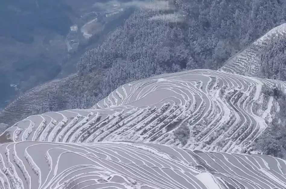 4d07e62a215f7ecd2ef702537e94ab41-sz_323059