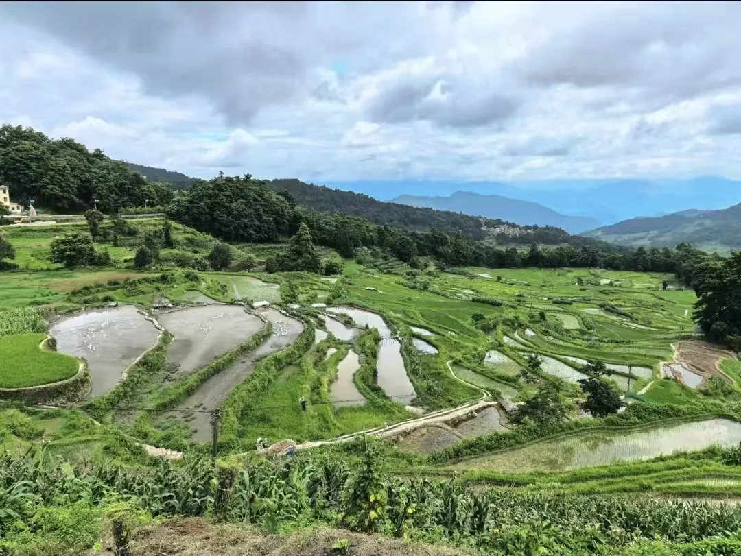 4d1aa7162cb3c47b73e9a4af392cf299-sz_659089