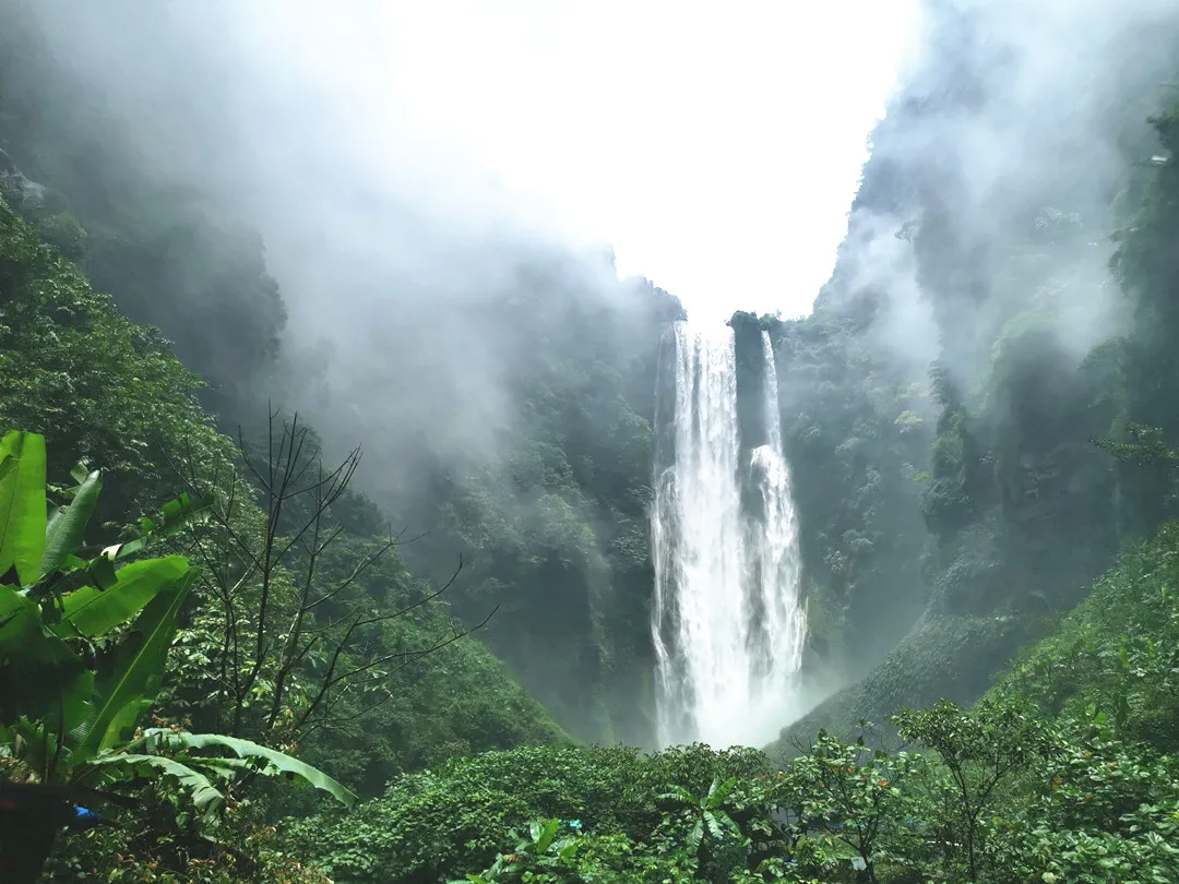 4d1bf7a6e964b4db5de4aece7fa300b0-sz_260021