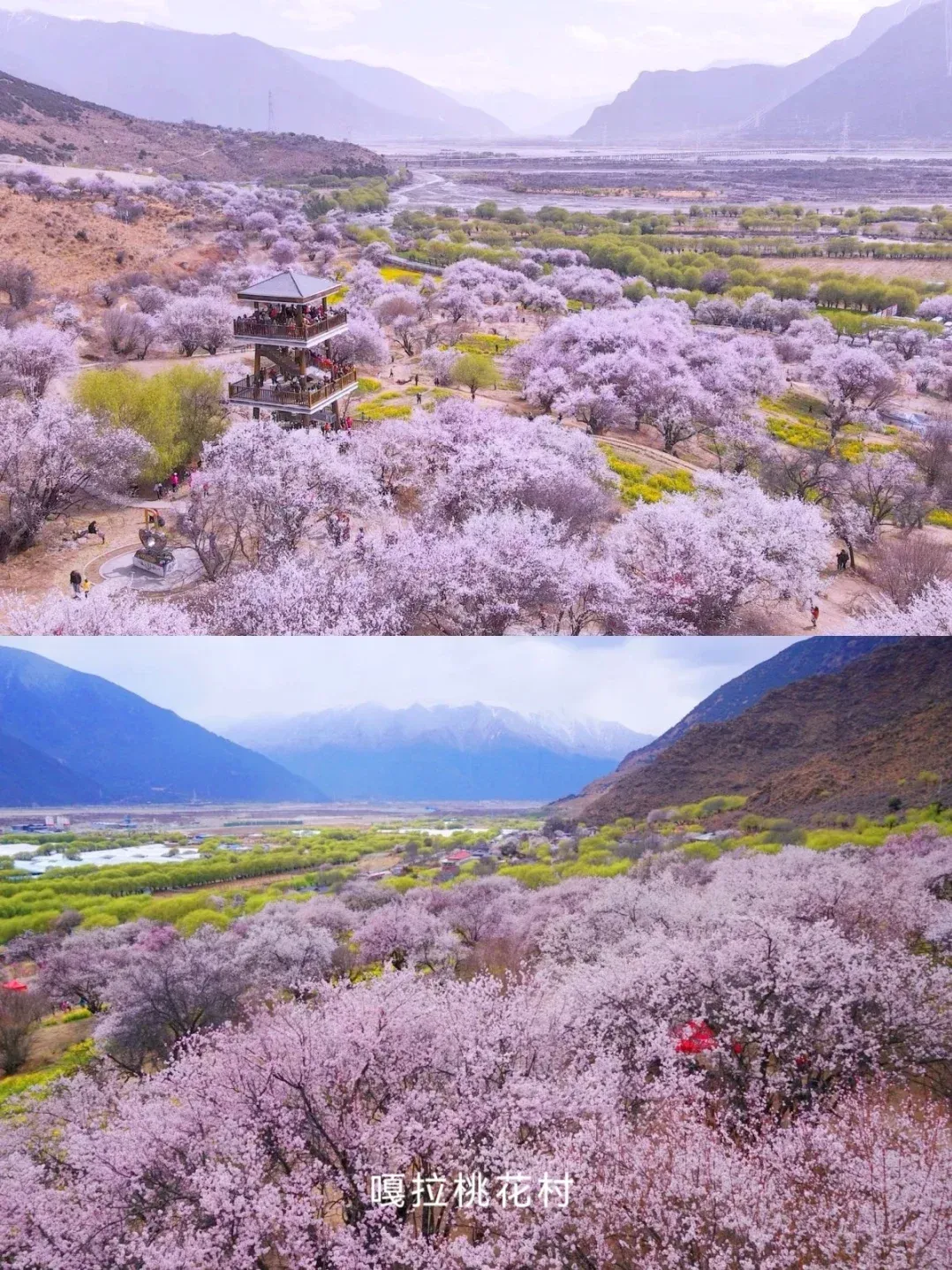 4d1de79b60766e8c77b3f8fdcbfd500e-sz_3546628-1