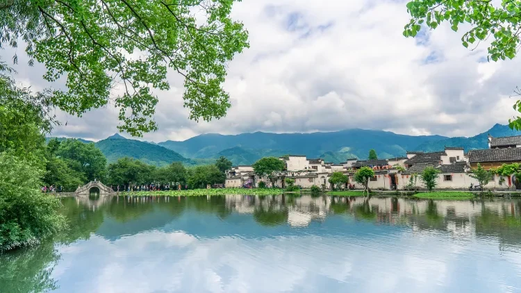 4d6edd51d538900f1b061c19c6b73c33-sz_797911-1