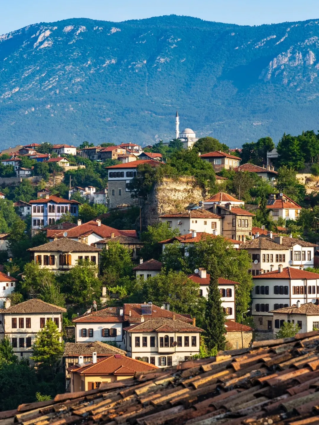 4d727fdc7169193fa9f2fb010aa68cc4-sz_677643