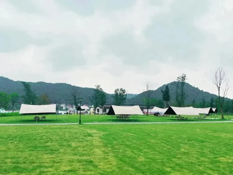 4d7db91edc6d1de5b9e6125a535e30b1-sz_117537