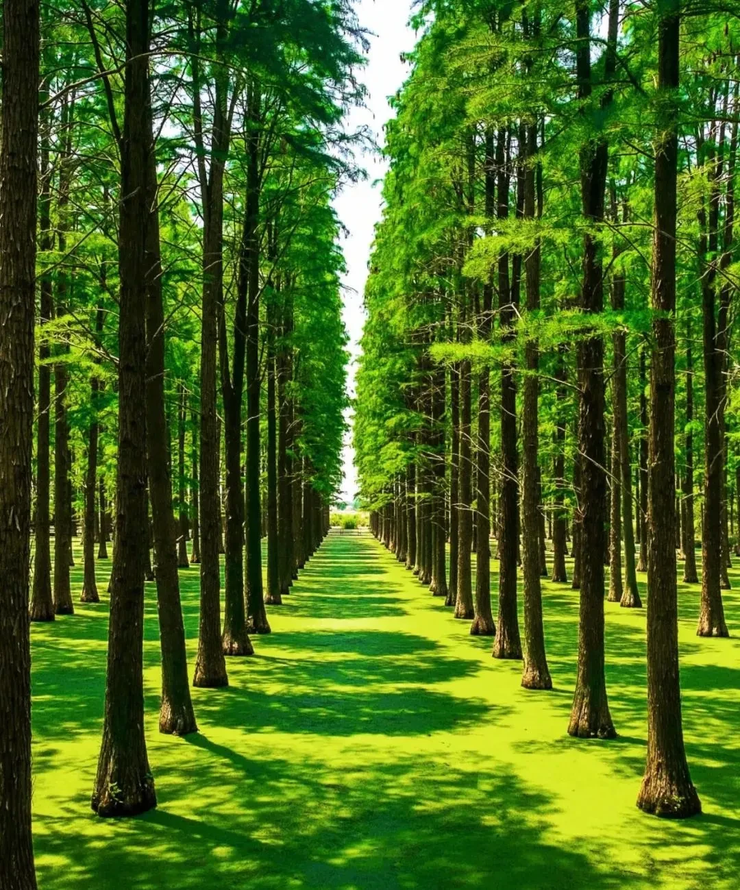 4df88ae45bfb8ec94dfacb7402796230-sz_388435