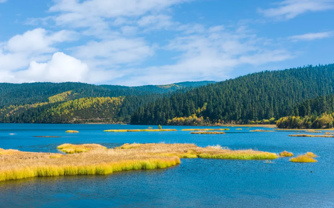 4e69787205774aea5629bce9326d5f2d-sz_2998401