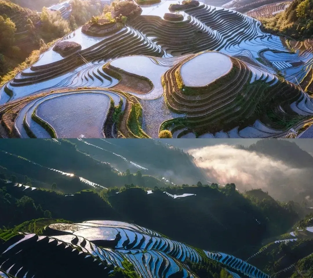 4e869c58b52e9f7f04060df271acbda3-sz_384658