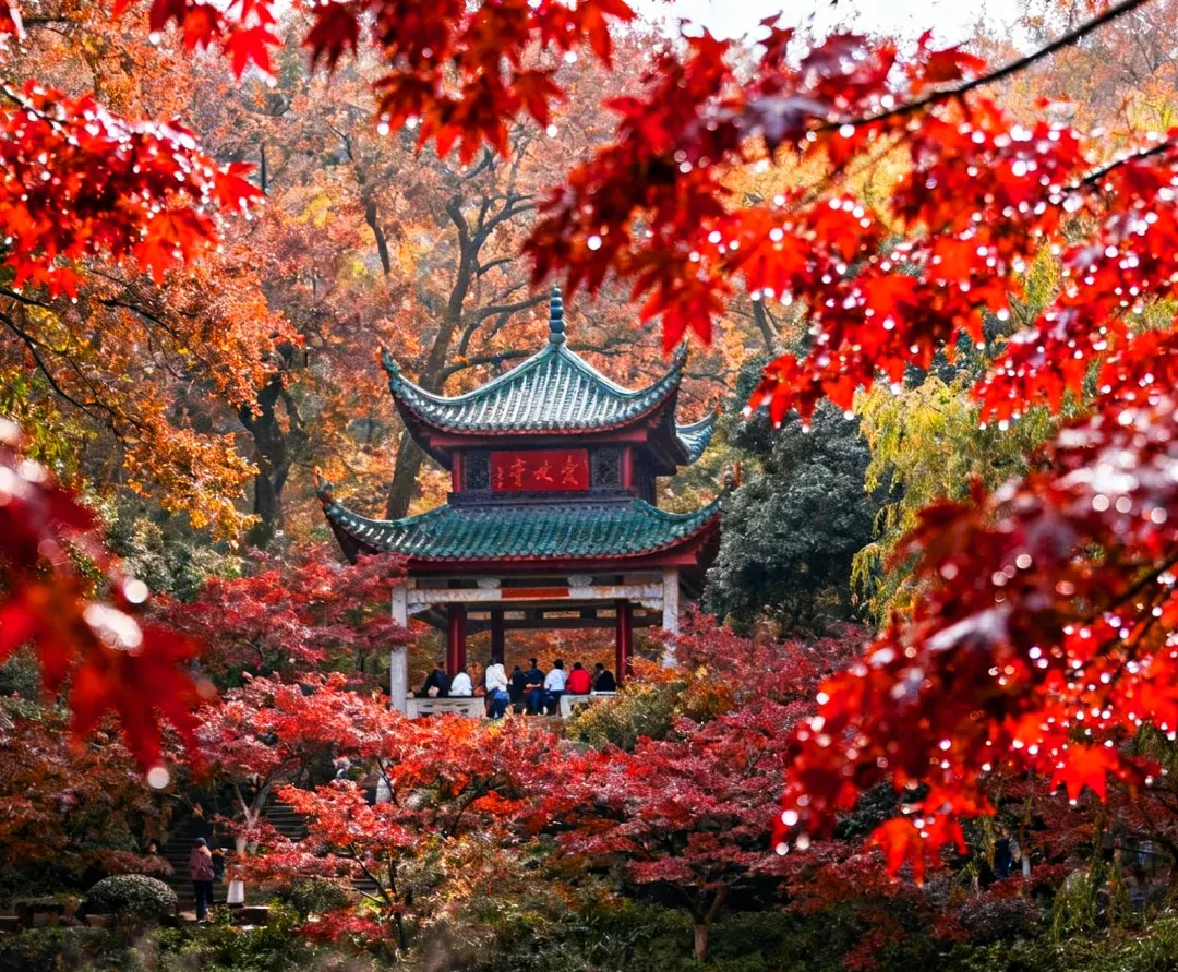 4e882d0d27e469acc11db07c662bfca7-sz_3169500