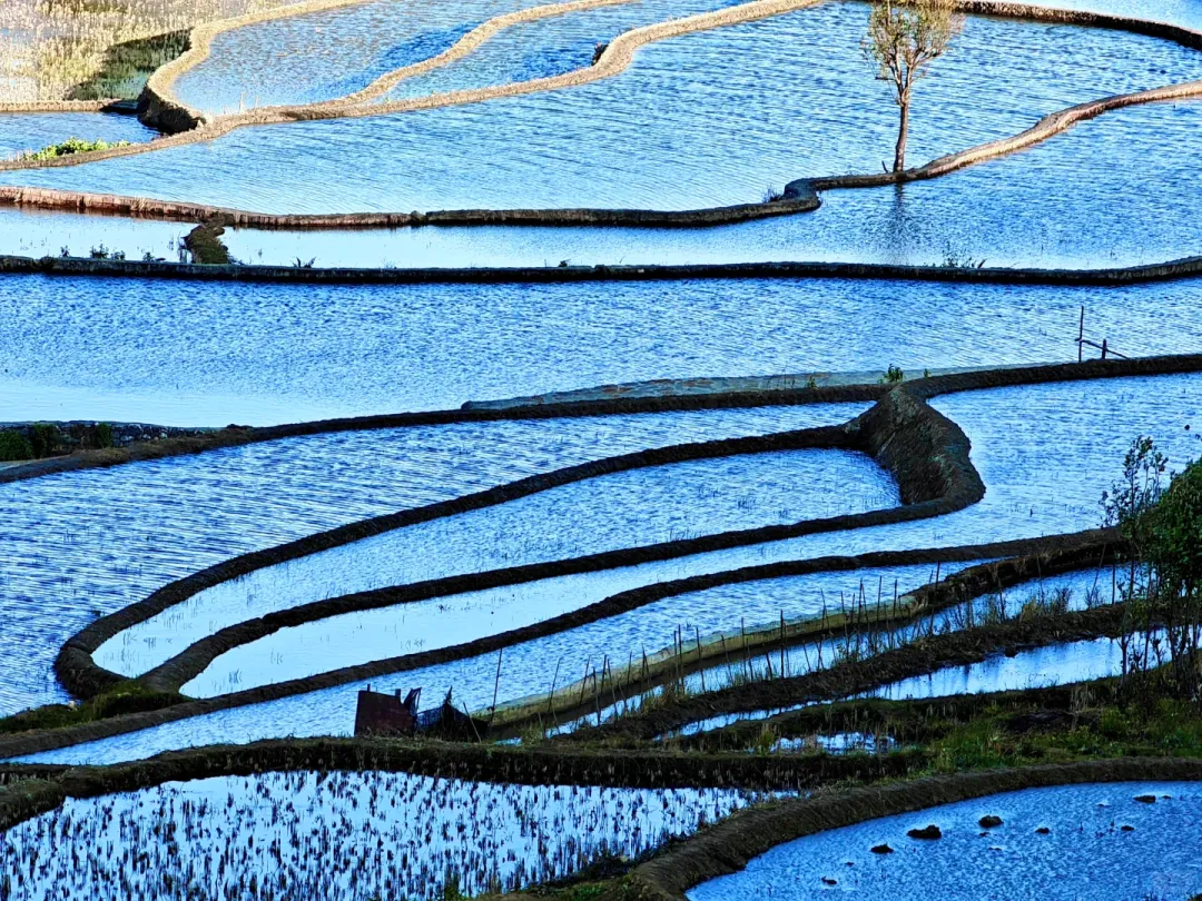 4ef6abb7f685dfa96d3d2f679866bc81-sz_4238210