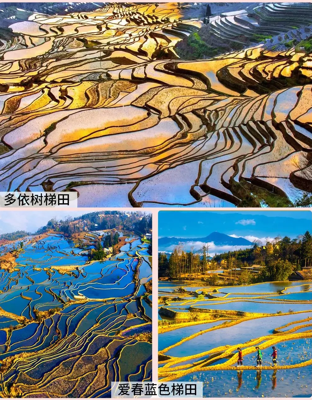 4f17655476d0d7341b5f148a489f38d3-sz_3359705-4