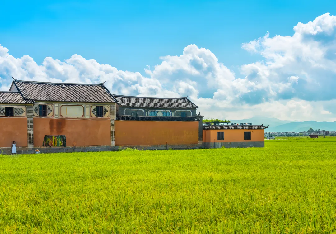 4f88ae7f8390a74cfb8514844d7130a2-sz_8950794