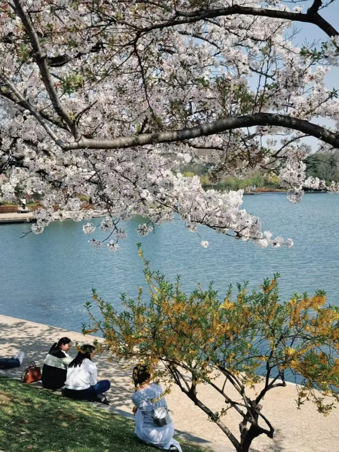 4fccef10c332b7da6a3d7443dd969041-sz_3806474