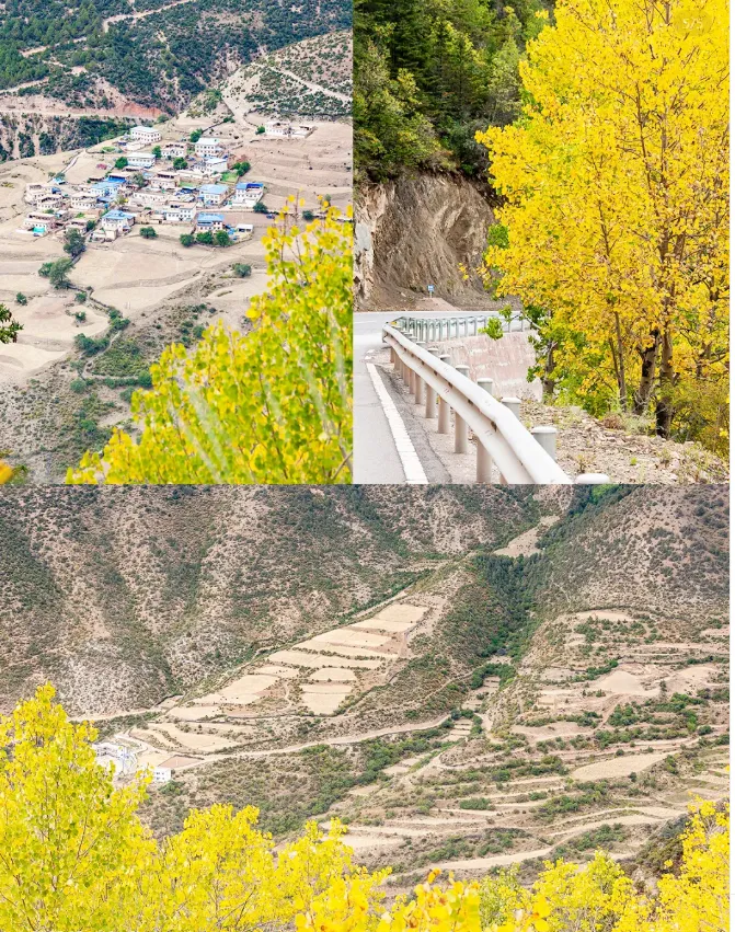 4fe7bcff414133cd1b31ffdb16472039-sz_1807762