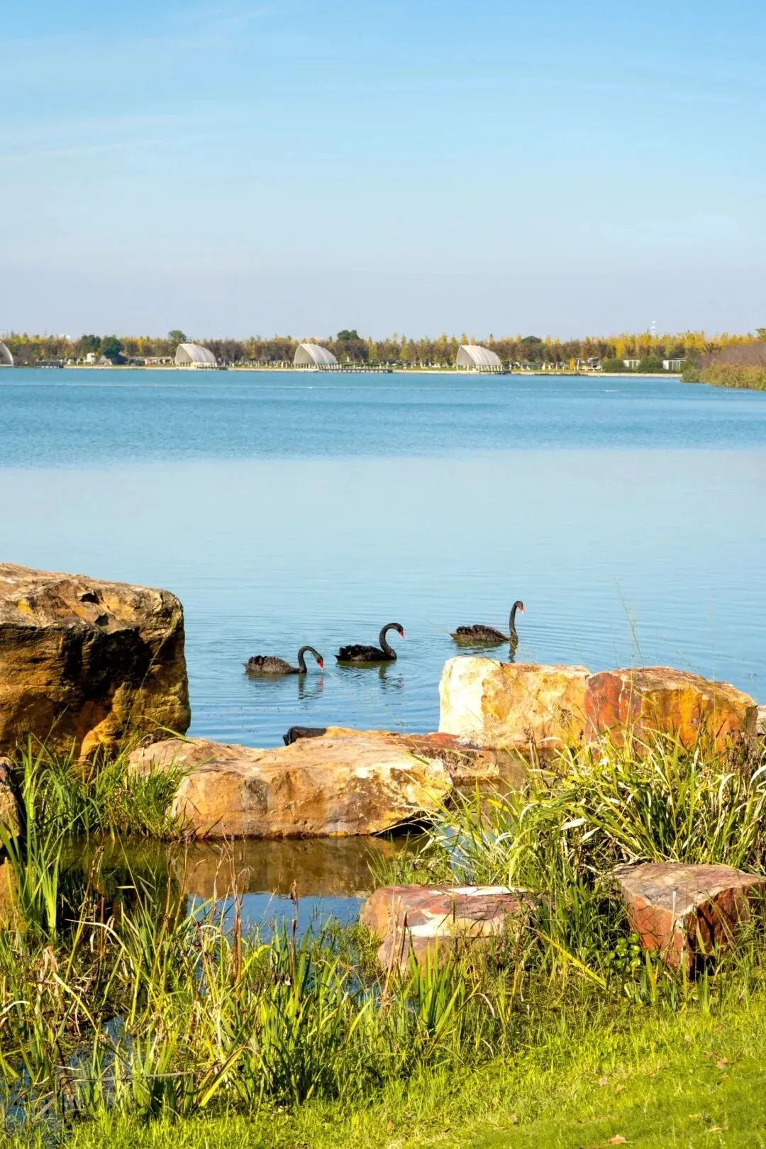 5003a72b94ff1503fe97ef4d8ca005d0-sz_327581