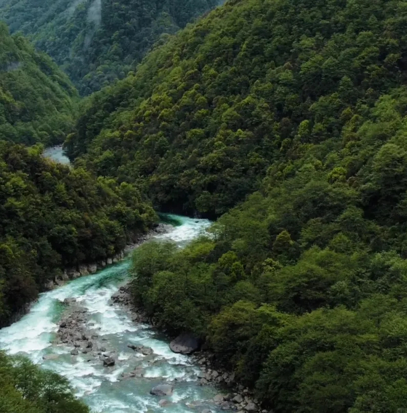 5010f065fce7526b0afb6b6317dd60a5-sz_1687022