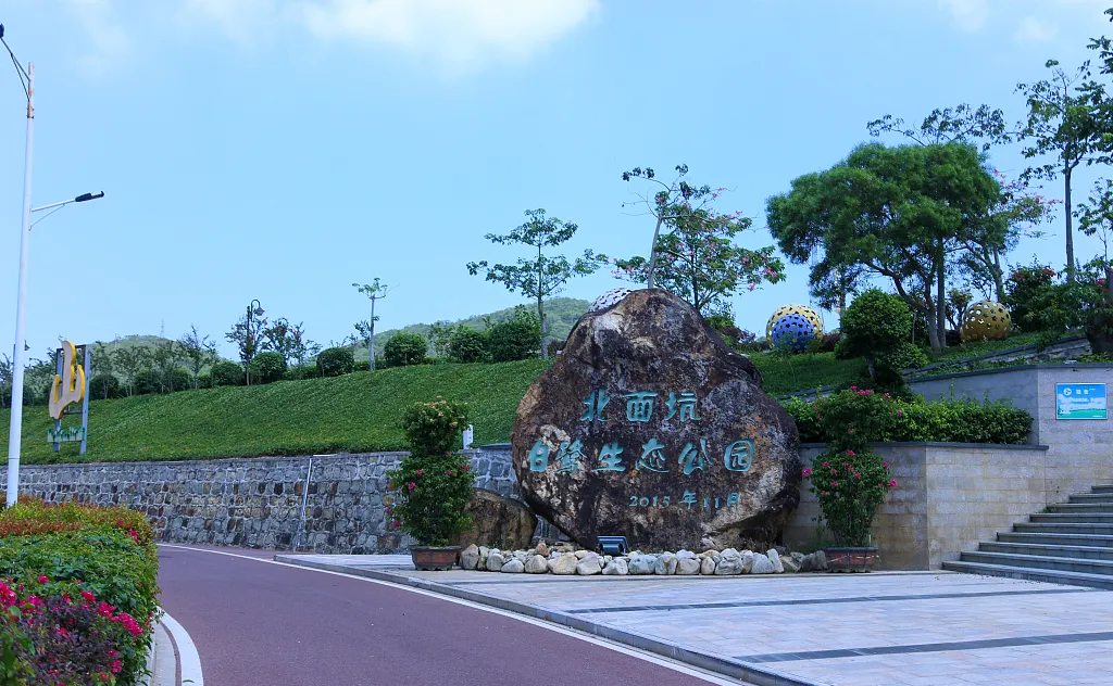 50133ba2c58a7e0efc88373e5ec5b6df-sz_955637