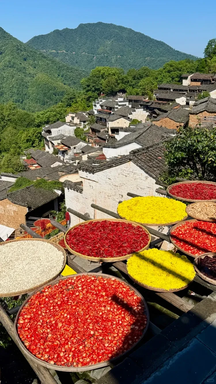 5040d7a0af4710da1bda3222198a636c-sz_4595138 5040d7a0af4710da1bda3222198a636c-sz_4595138