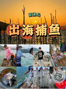 5068f07026090f8ec3b4ce56396bd9ee-sz_187094