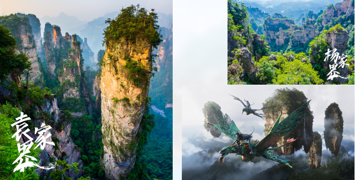 5069052fd10c50bfbc880c8a2c34b030-sz_526891