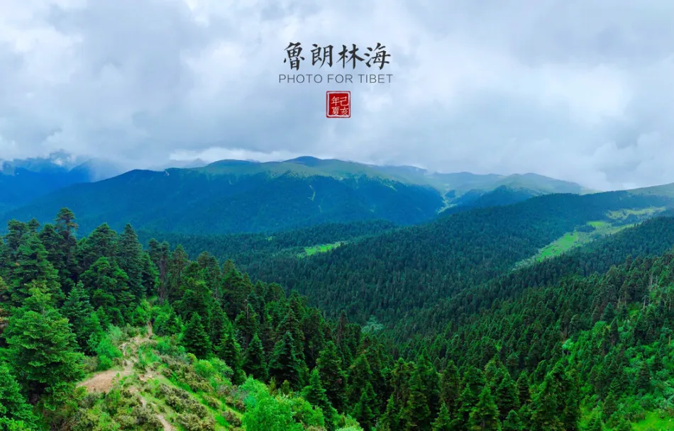 508d1a3e0e913925856a63e2ca1ca682-sz_328147