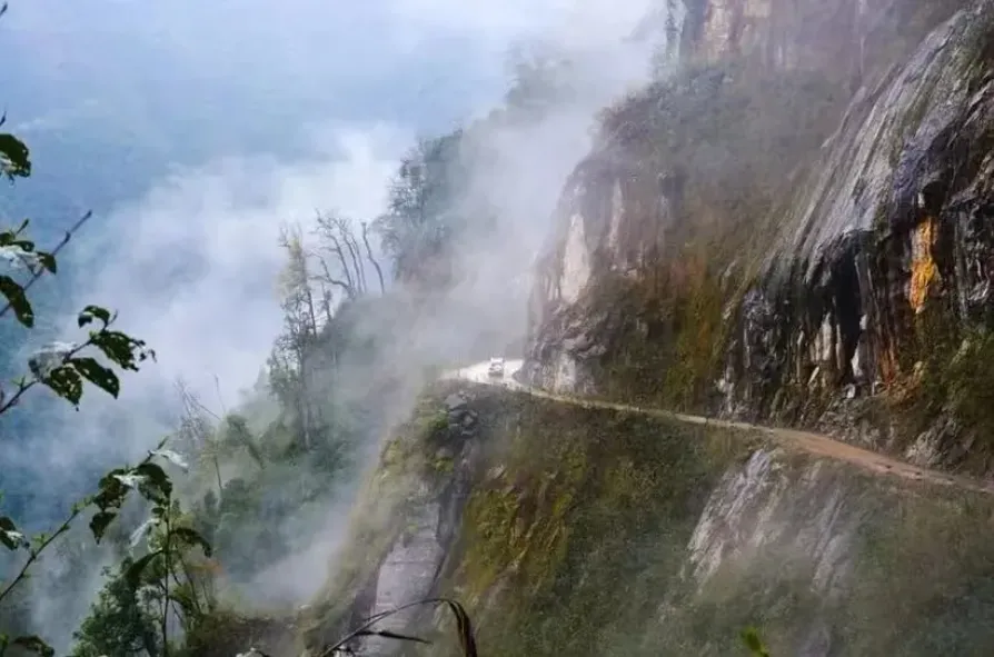 50921492a3bd98c256c63babef56951f-sz_1153140