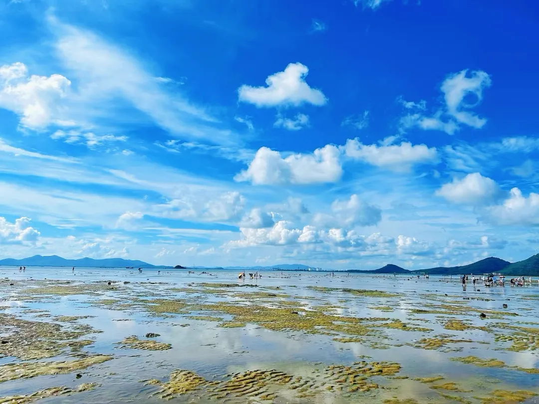 509be22122be3c8177e9cf727714c521-sz_1576367