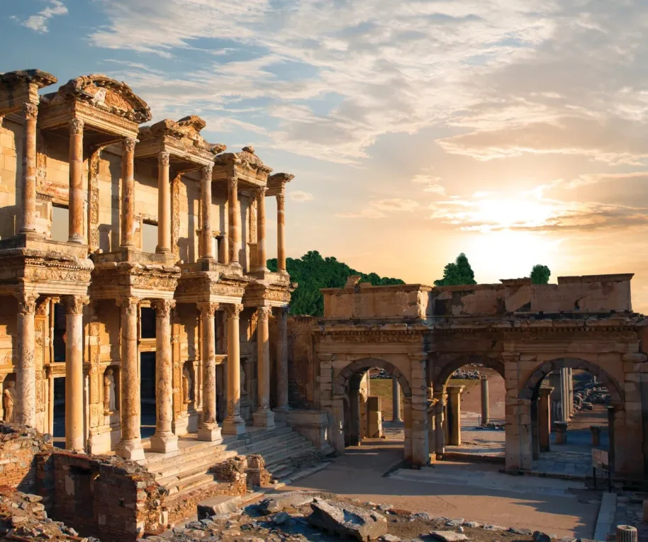 50d336a02a9ced82ff60b1ff493ffae1-sz_460337-1