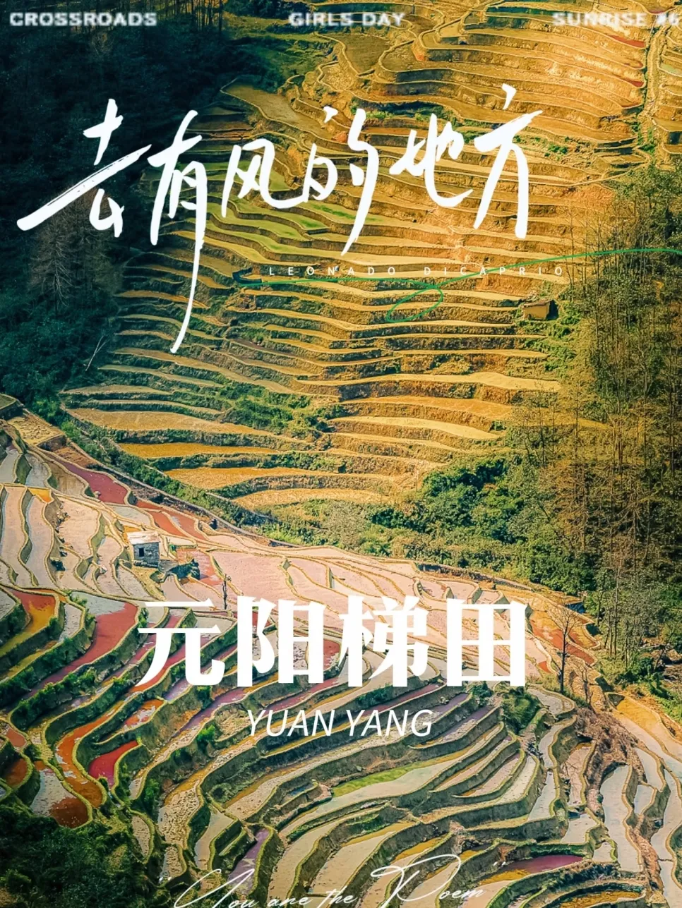 50d66dff9d6b26f07734695ceba040ba-sz_1235932