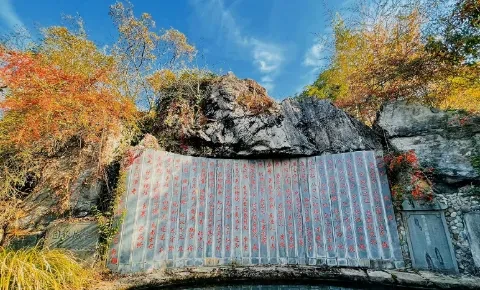 50e915a26cbd2dbd20149e2671345727-sz_387842