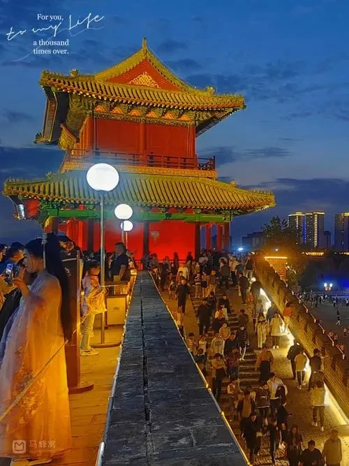 50f87c23780a968d64e3cf25ced28914-sz_66663