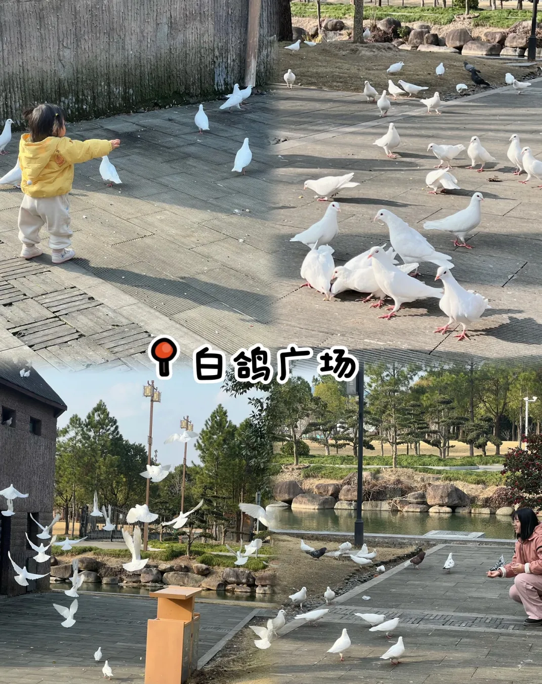 511f5044b851c65402fb3173316c444d-sz_2271093