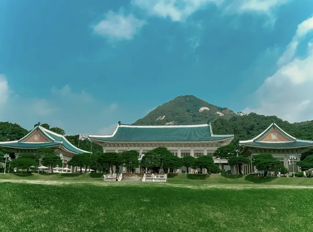 512f5bef4b1587a756eaea369d519adf-sz_387152