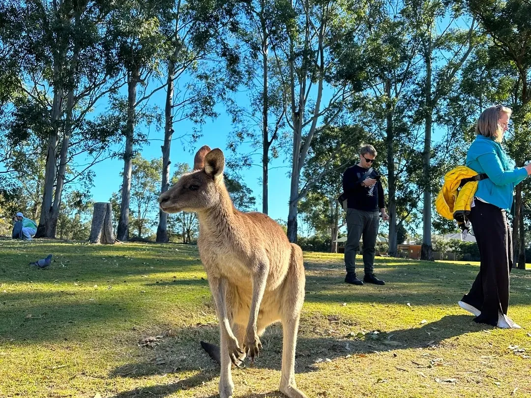 5159c58de8fe855819dcd5b16810fca7-sz_950177