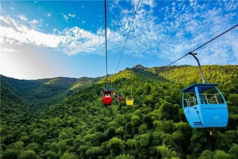 51e1866a71a32c0c80d0725b3c77c2c9-sz_112808