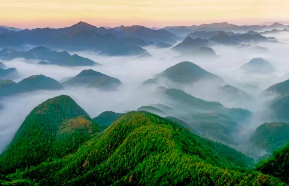 51e38a303c79c83d23091d98c1759967-sz_315888