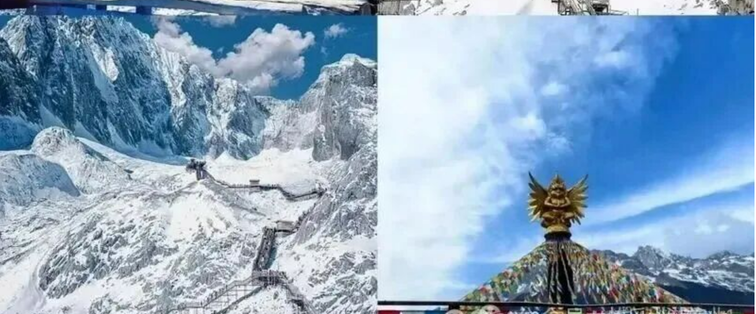 51f2f157495c63ec74574c339b2443fc