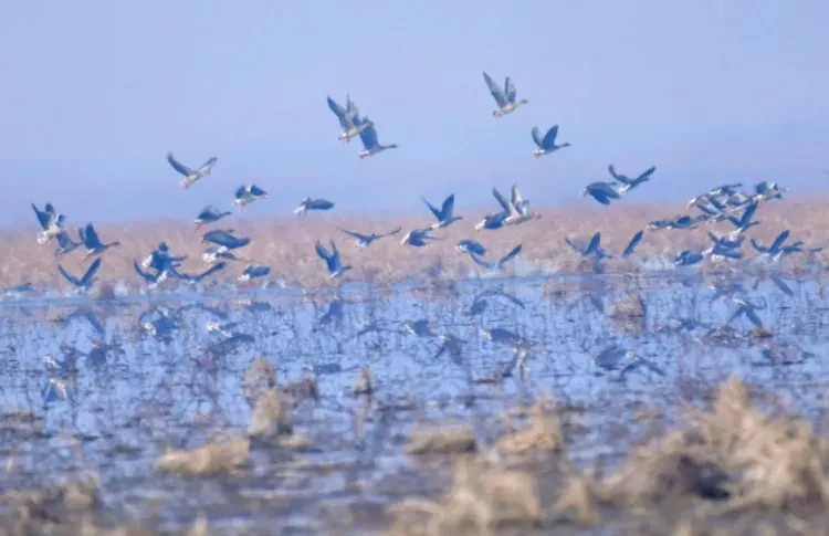 51fb8e2f842dfa74588fb9fb40c46861-sz_1030201