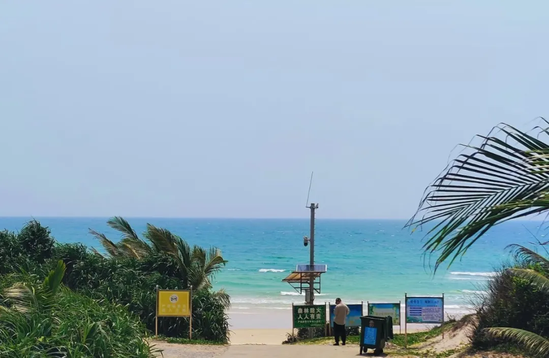 521fbc32b11d9f66a97edcad91d13c7b-sz_196979