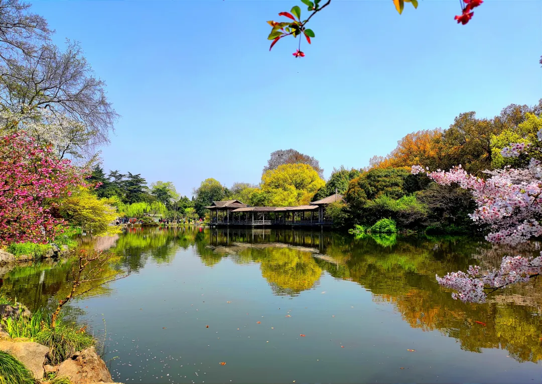 525d9e9c0e6e1c6e1e226ad76e2b6a0f-sz_3840651