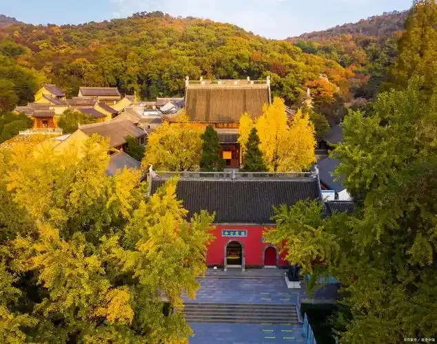 52fd7505b1561b1422dbbcb1ba8c8159-sz_186230