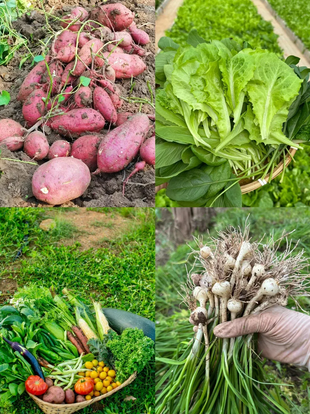 5327c60becd0e5e7eb608819973f0a56-sz_3265619