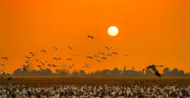 533b575a09c44b3b5387add6636f994c-sz_261282