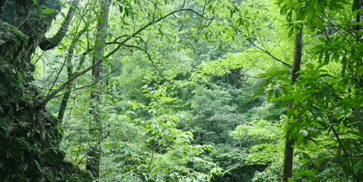 53683fe6ed4e4cad020a10cd4059d1bb-sz_3777123-2