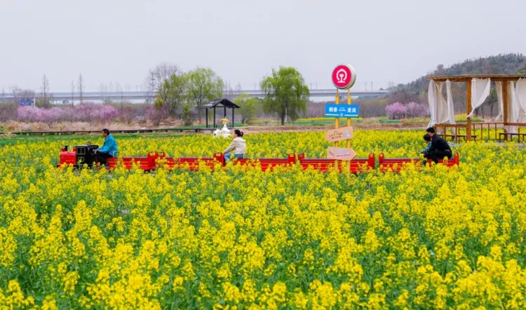 538d8ee6ea8ef4eb767633dd27b546f3-sz_1326506