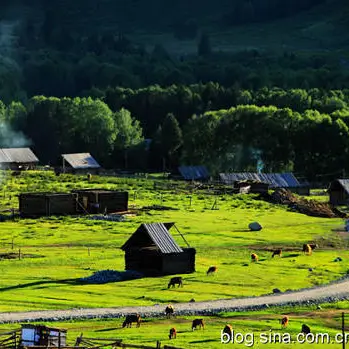 5390990c934be9c1cd03a02f096d2312-sz_53966