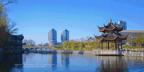 53e1ce6956233a2c01fa38d8222e00ab-sz_914643